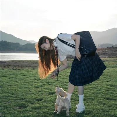 超完美狗保姆